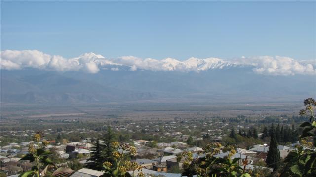 Telavi 2