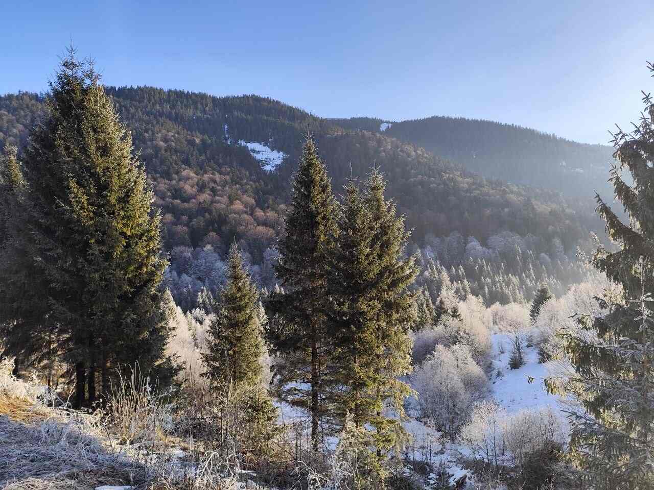 Тур на Закарпатье